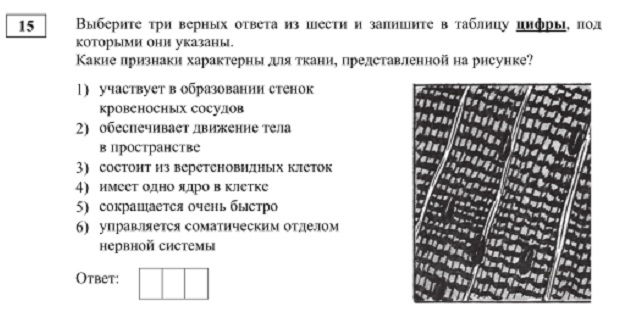 Kraken ссылка krakentor site